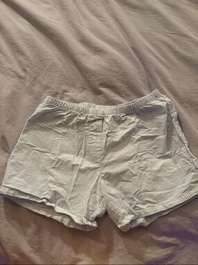 Brandy Melville Light Blue & White Striped Women's Shorts